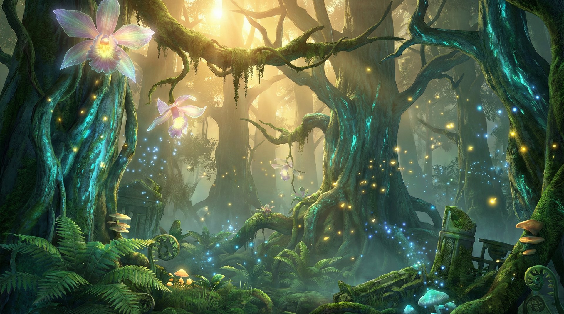 媚黑天山雪岭云杉探秘植物视频