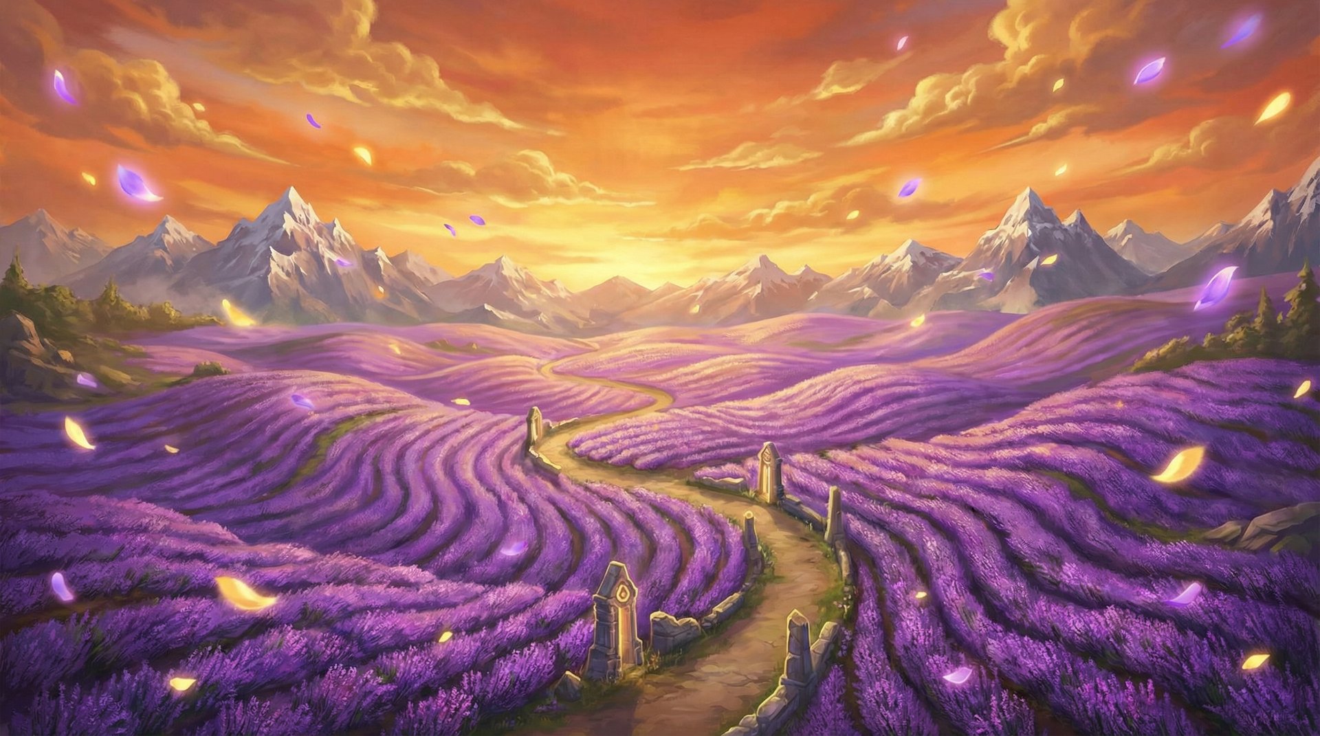 媚黑薰衣草花海航拍植物视频